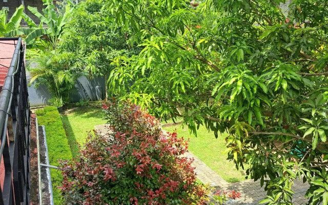Coral House 7