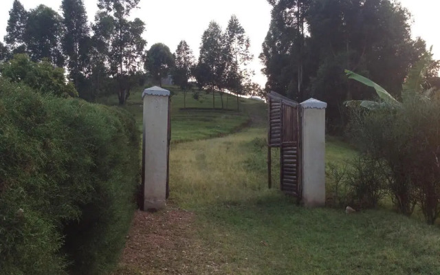 Ecomarvels Gorilla Resort