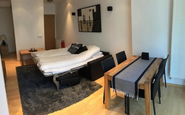 Caze Reykjavik Central Luxury Apartments