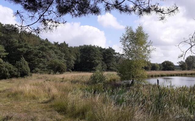 Drentse bungalow in natuur en rust