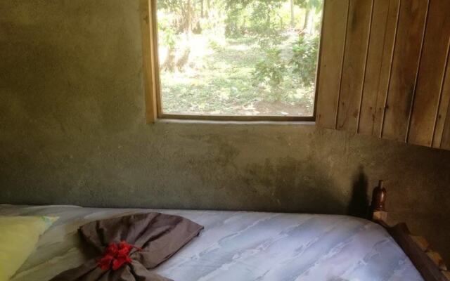 Rosa's Lake Cabins