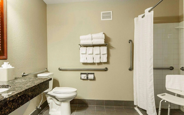 Comfort Inn Owatonna near Medical Center