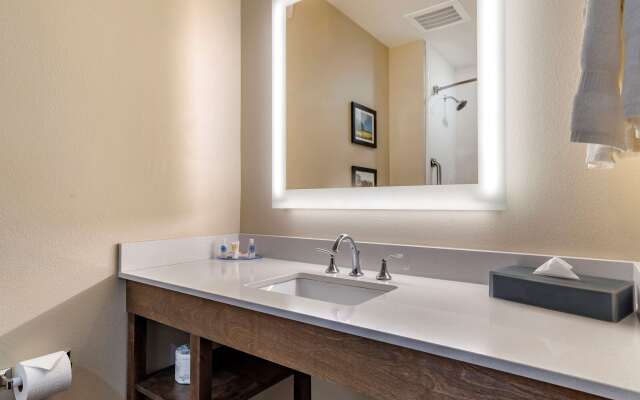 Comfort Inn & Suites Downtown near University