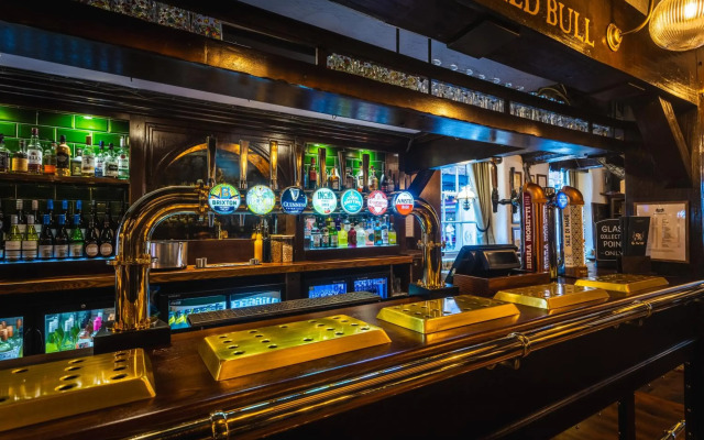 The Pied Bull