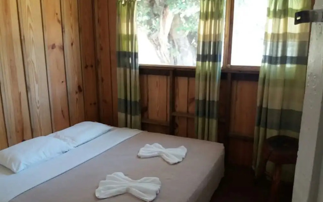 Buena Vista