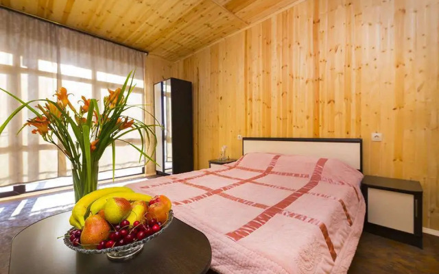 Элион (Алахадзы)