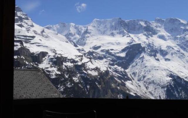 Chalet Anemone 2