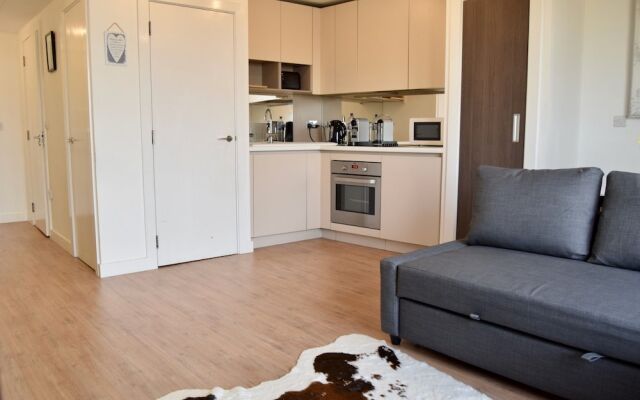 Stylish 1 Bedroom Studio Near Canary Wharf