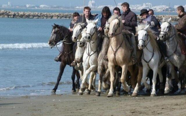 Appartement Le Grau-du-Roi, 2 pièces, 4 personnes - FR-1-307-111