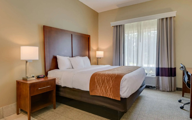 Comfort Inn & Suites Augusta Fort Gordon Area