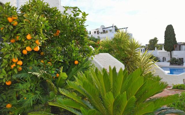 Yellow Jasper - Gemstone Getaway