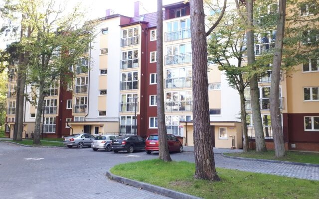 Kaliningrad Apartments on str. Tokareva