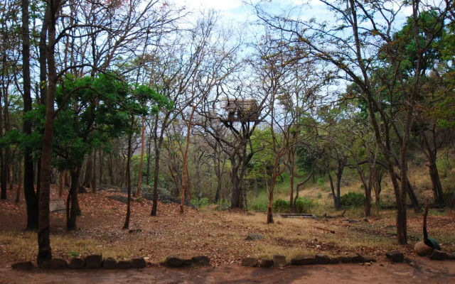 K. Gudi Wilderness Camp