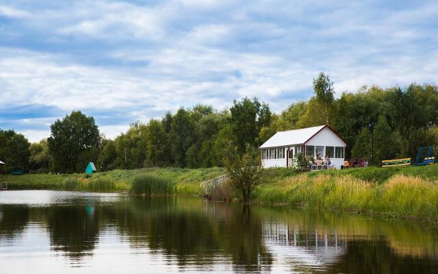 Подсолнухи