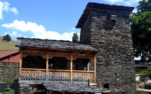 Guesthouse Tushetian Tower