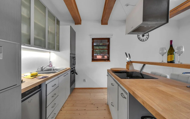 Villa in Dolni Branna With Sauna