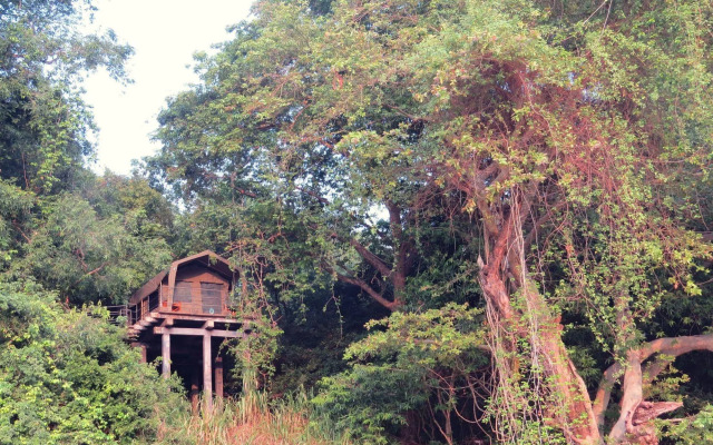 Explorer by Eco Team - Wasgamuwa National Park