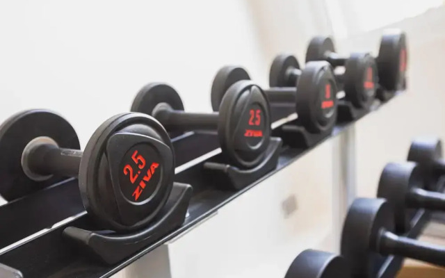 Palmetto Condominium