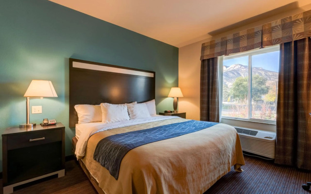 Comfort Inn & Suites