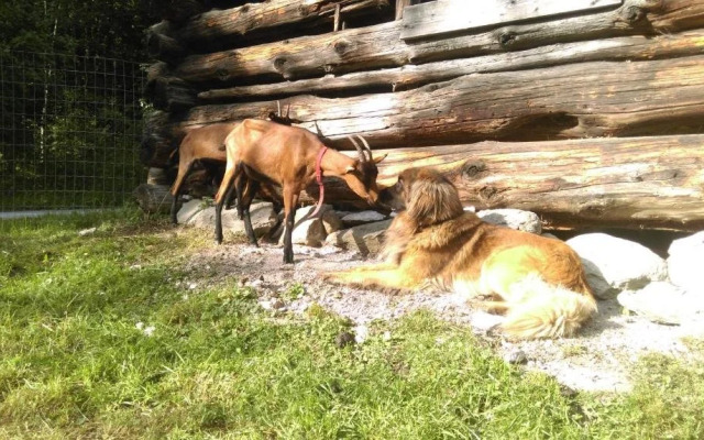 Saumerhof - Fam. Trinker Marion Und Wolfgang
