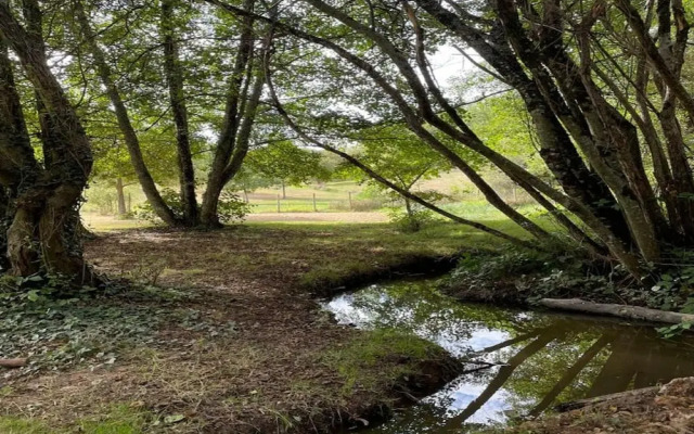 Beautiful Holiday Home With Lake 15min by Bike