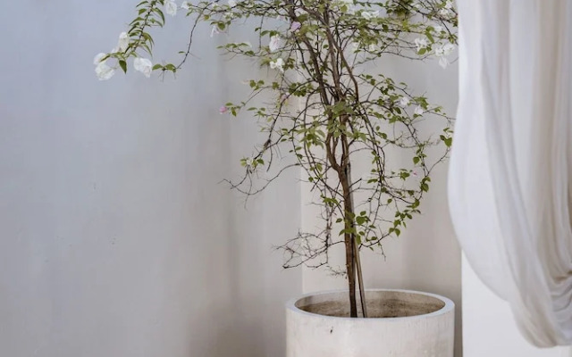 Villa Estrella Seseh