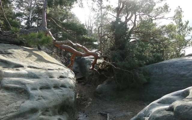 FeWo „Zum Napoleonstein“