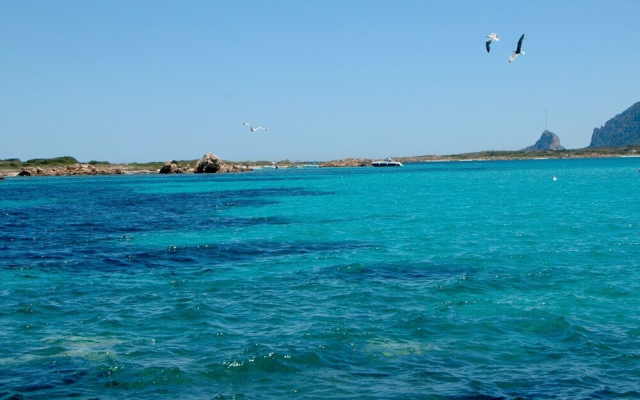 I Fari D220 600m From The Beach