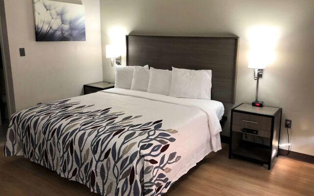 Red Roof Inn Petersburg - Fort Lee