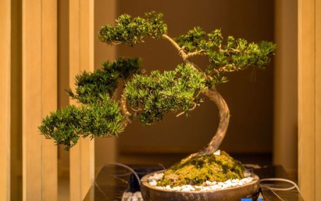 Xim Shanju Hotel (Chengdu Chunxi Road Taikoo Li Branch)