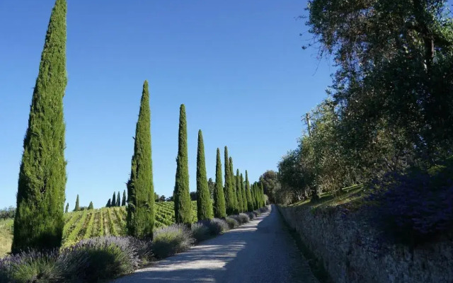 Dievole Wine Resort