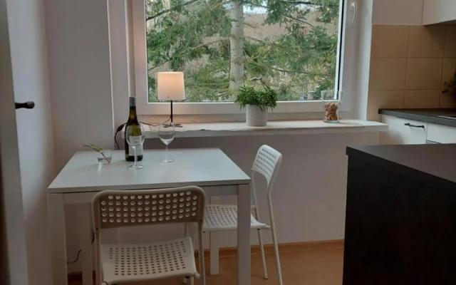 Apartament Opera