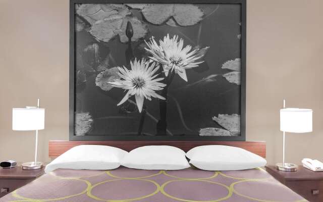 Super 8 by Wyndham Bay St. Louis