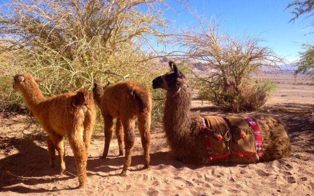 Atacama Loft & Glamp