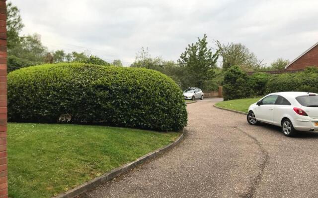 Monochrome 16 , Brentwood