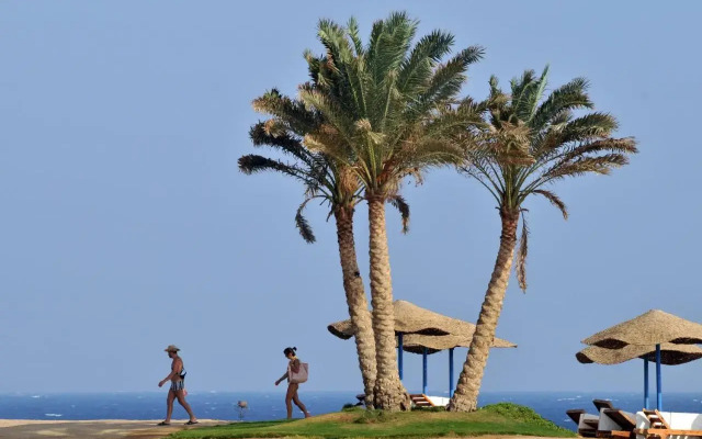JAZ Neo Reef Marsa Hotel