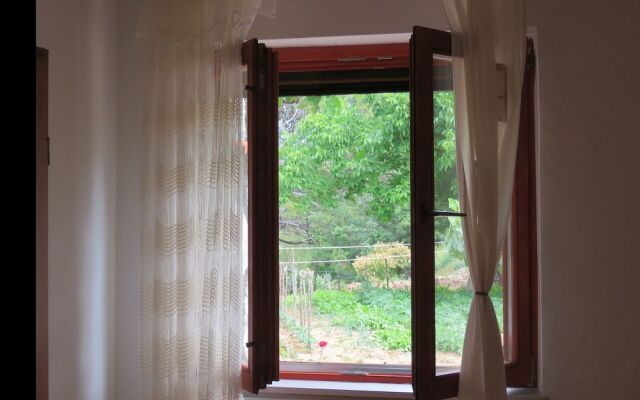 Luxurious Apartment in Novigrad with Terrace