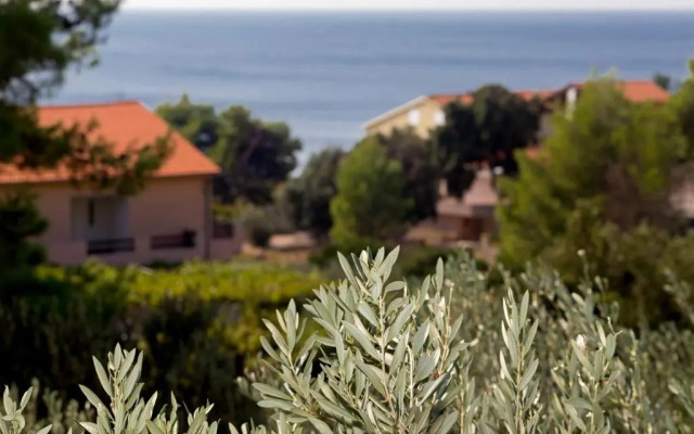 Lovely apartments Balić