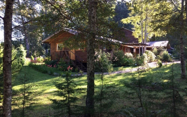 Cabañas Pucon - Caburga