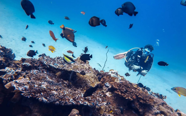 Manta Dive Gili Trawangan Resort