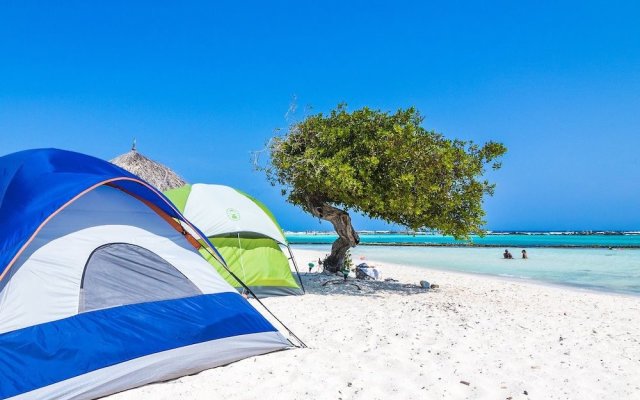 Aruba Stop Vacation Rentals