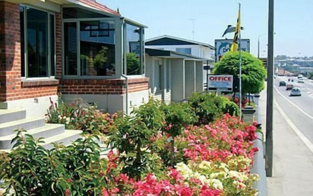 Blue Dolphin Motel