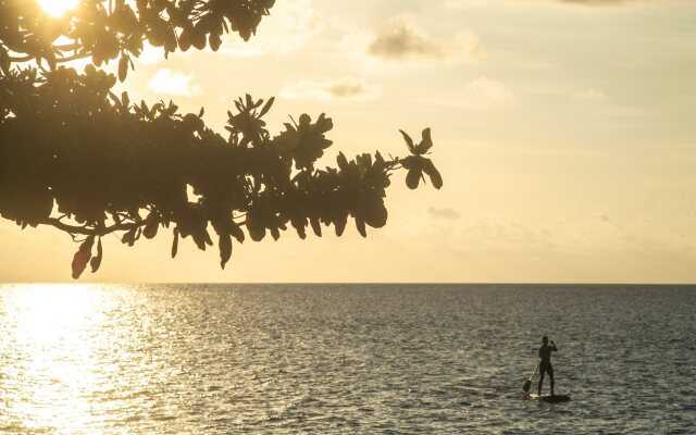 Bali Lovina Beach Cottages