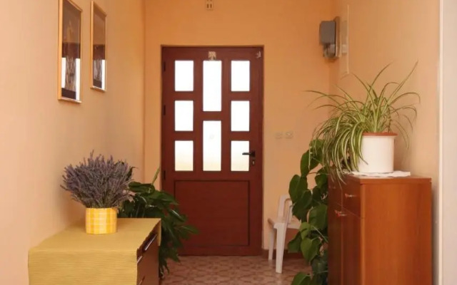 Apartments by the sea Maslenica, Novigrad - 6568