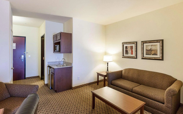 Comfort Suites San Antonio North - Stone Oak