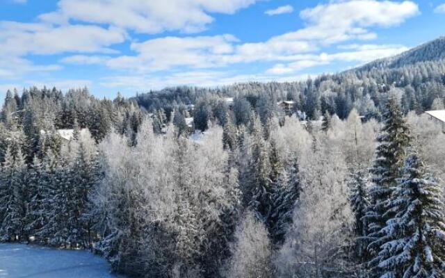 Hotel ALPIN - apartament 704