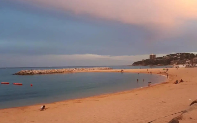 9ariet cabo negro