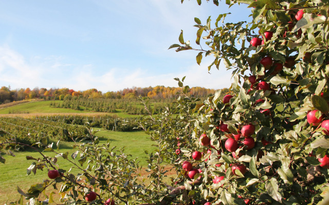 Candlewood Suites Eau Claire I-94