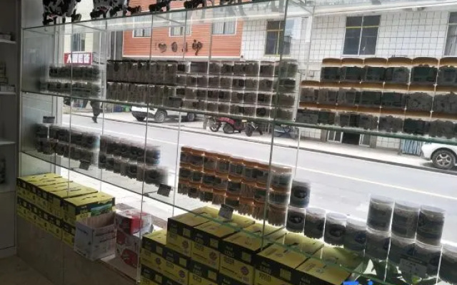 nanshan – Restaurant – Shaoyang