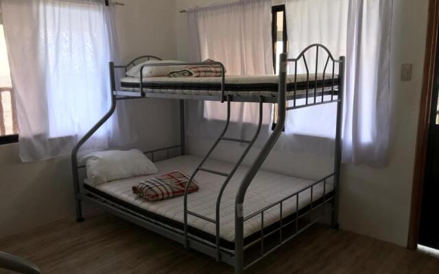Hostel Lions